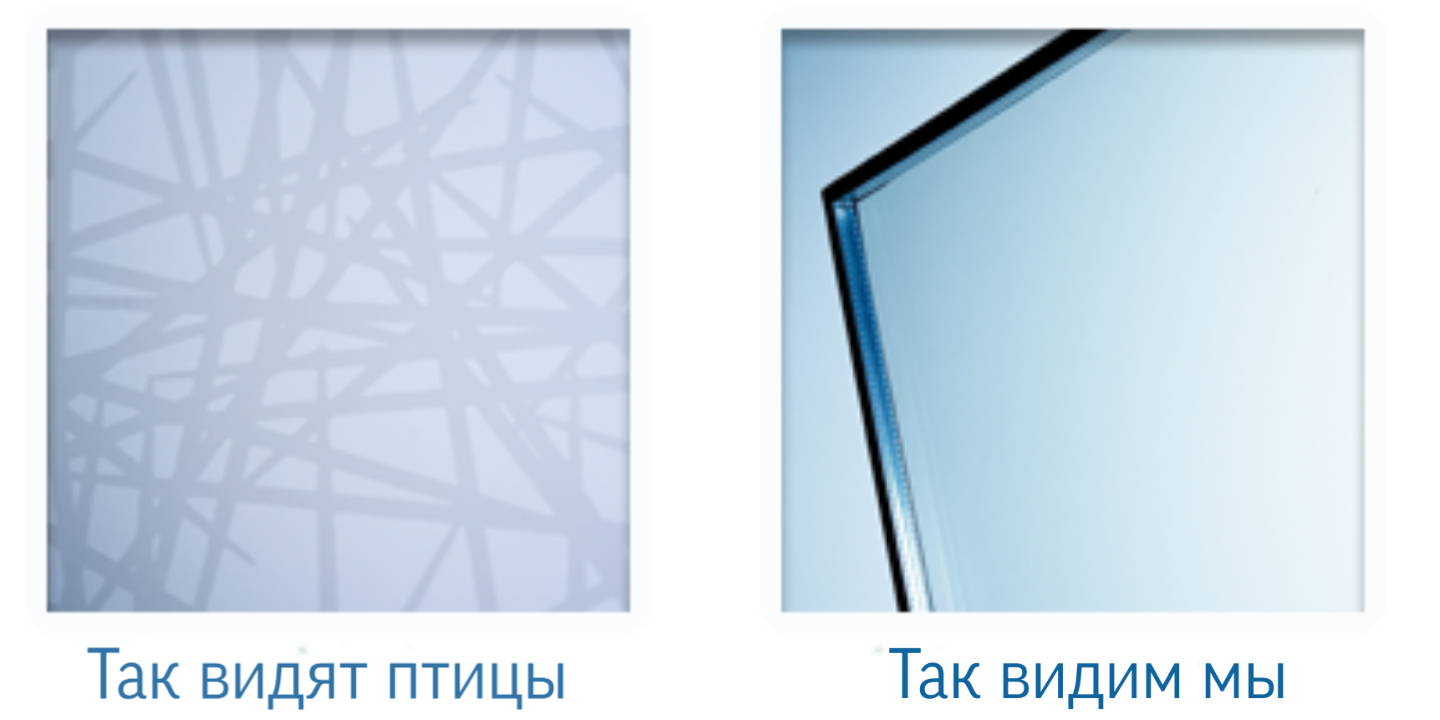 Стекло виден. Стекло Ornilux. Стекло рефлект. Ornilux Bird Protection Glass. Bird friendly Glass.